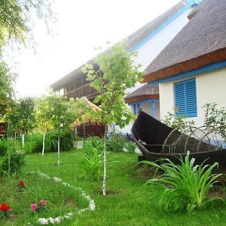 Casa Dintre Salcii Ξενοδοχείο Uzlina Εξωτερικό φωτογραφία